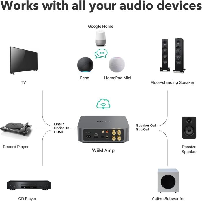 WiiM Wzmacniacz: Wzmacniacz strumieniowy Multiroom z AirPlay 2, Chromecast, HDMI i sterowaniem głosowym - przesyłanie